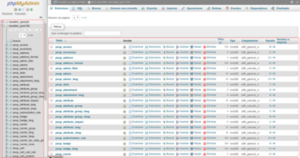 Cómo usar phpMyAdmin en cPanel — captura 3